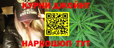 apvp Пугачёв