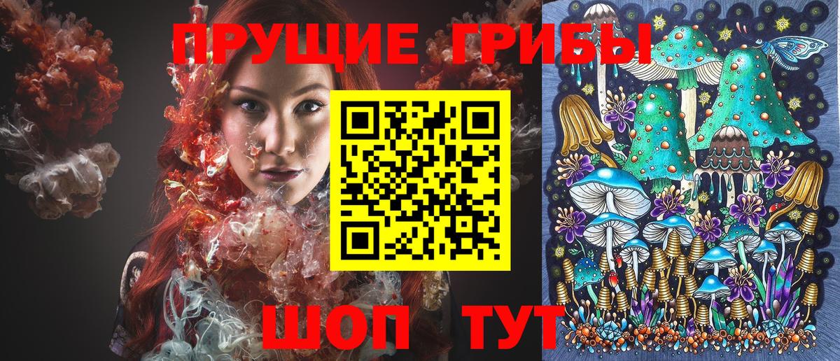 Южно-Сахалинск  Галлюциногенные грибы ЛСД  хочу   Псилоцибиновые грибы Psilocybe  Вход с VPN 